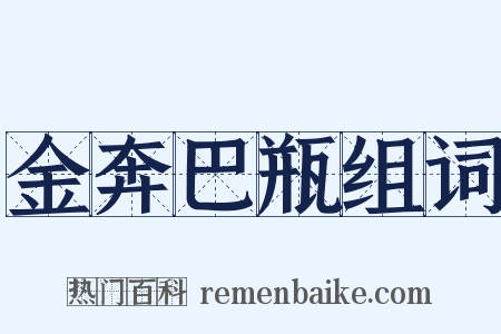金奔巴瓶组词是什么意思的图片